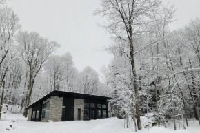 Chalet FEU en pleine nature à Tremblant.